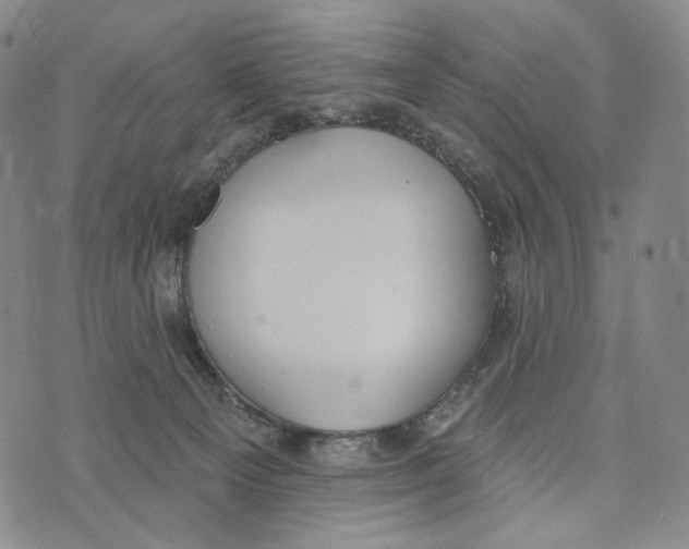 X0000073710129200608311804