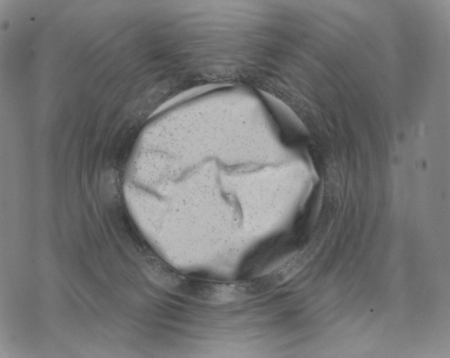 X0000073710130200608311804