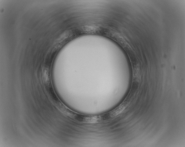 X0000073710131200608311804