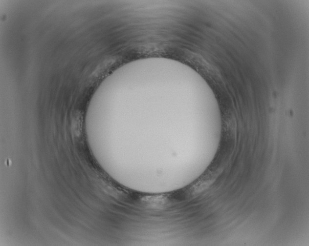 X0000073710133200608311804