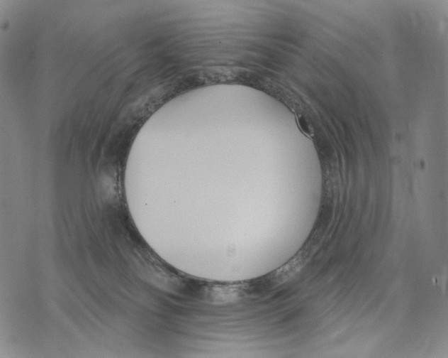 X0000073710134200608311804