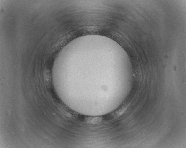 X0000073710135200608311804