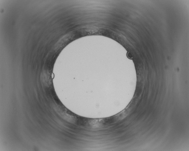 X0000073710136200608311804