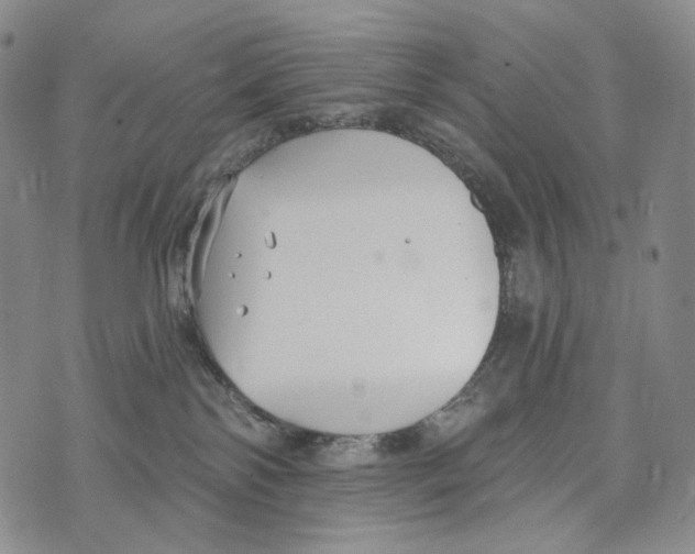 X0000073710138200608311804