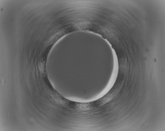 X0000073710139200608311804