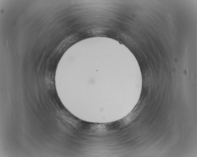 X0000073710140200608311804