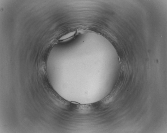 X0000073710141200608311804