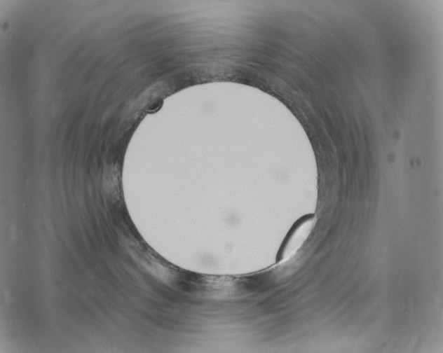 X0000073710144200608311804