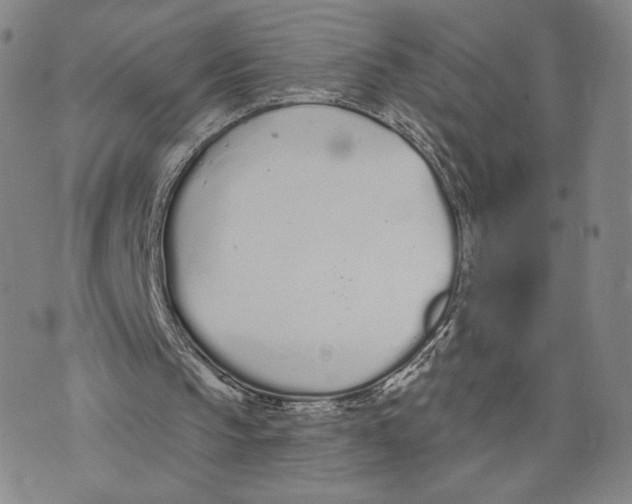 X0000073710145200608311803