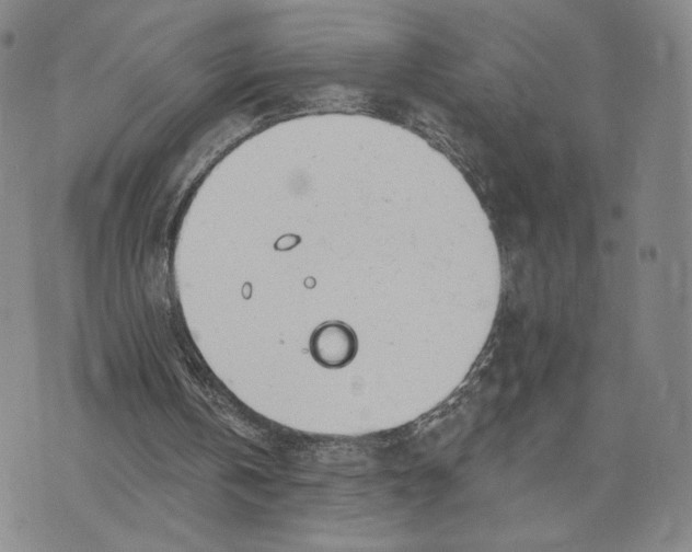 X0000073710146200608311803