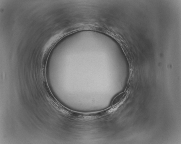 X0000073710149200608311803