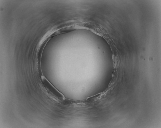 X0000073710150200608311803