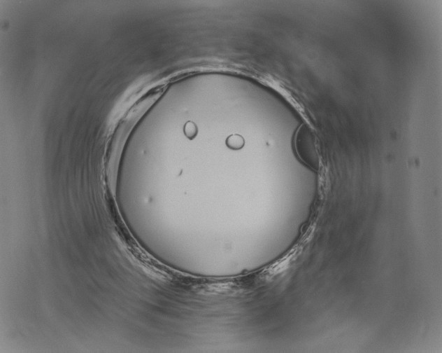 X0000073710151200608311803