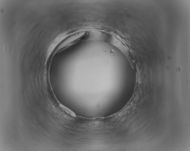 X0000073710152200608311803