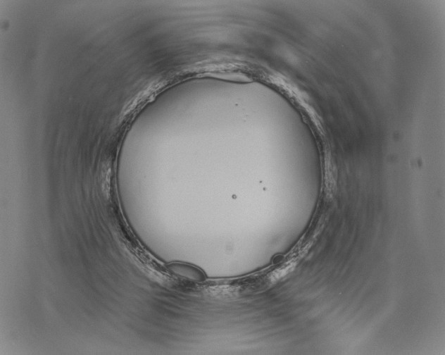 X0000073710153200608311803