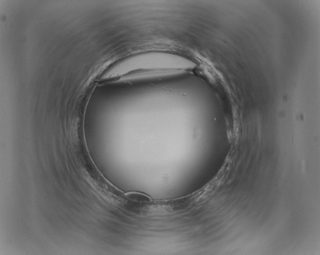 X0000073710154200608311803