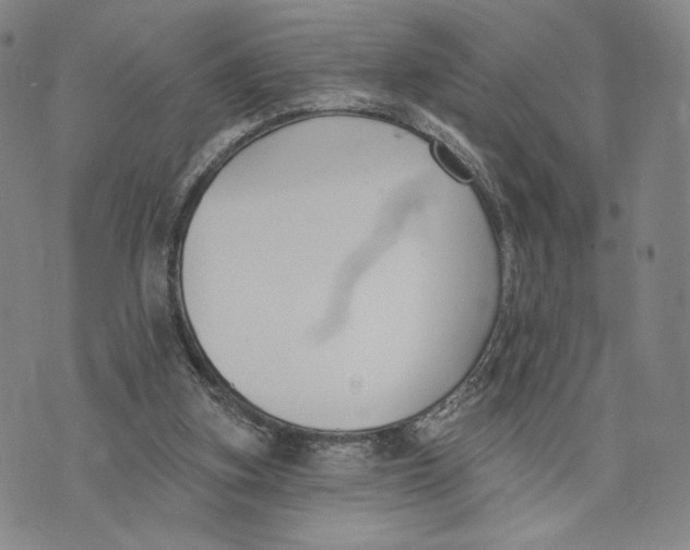 X0000073710155200608311803