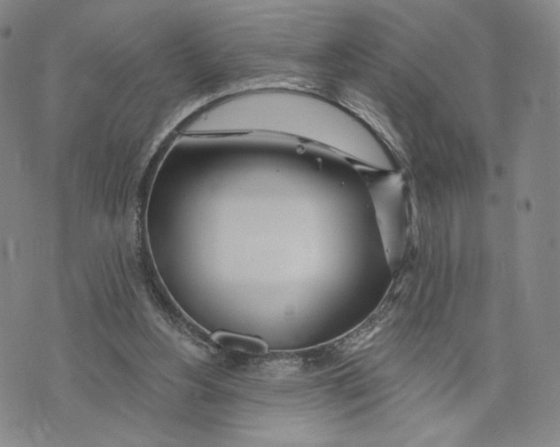 X0000073710156200608311803