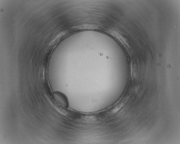 X0000073710157200608311803