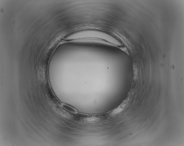 X0000073710158200608311803