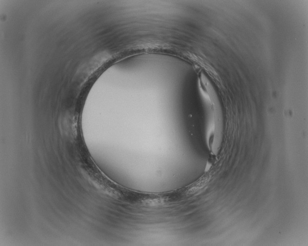 X0000073710160200608311803