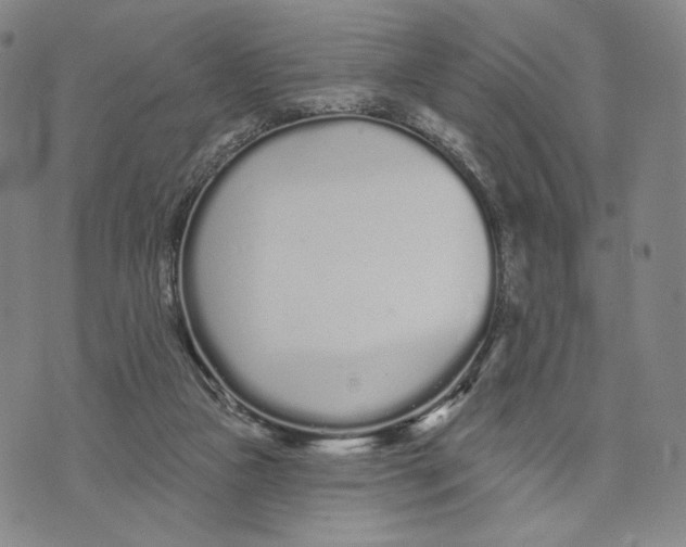 X0000073710161200608311803