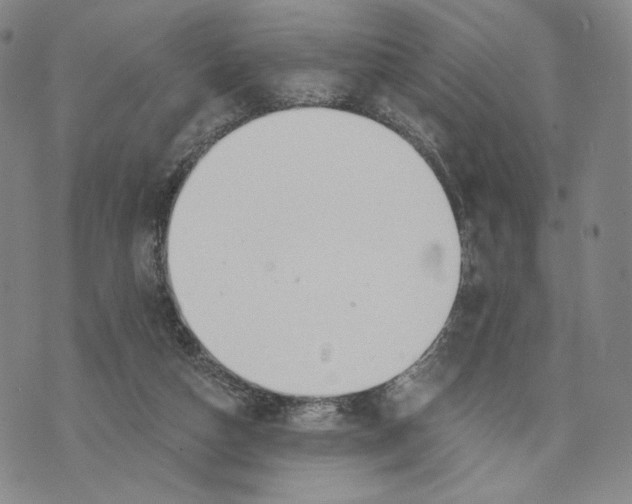 X0000073710162200608311803