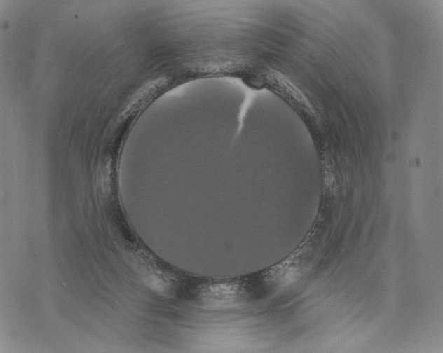 X0000073710163200608311803