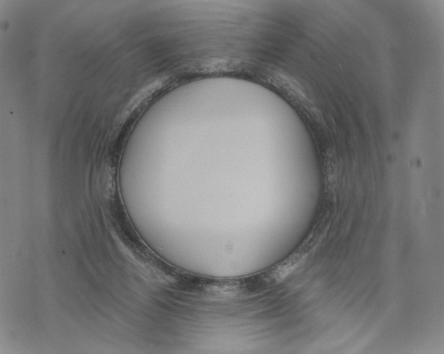 X0000073710164200608311803