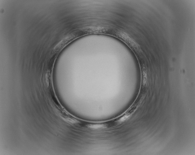 X0000073710165200608311803