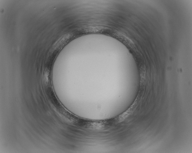 X0000073710166200608311803