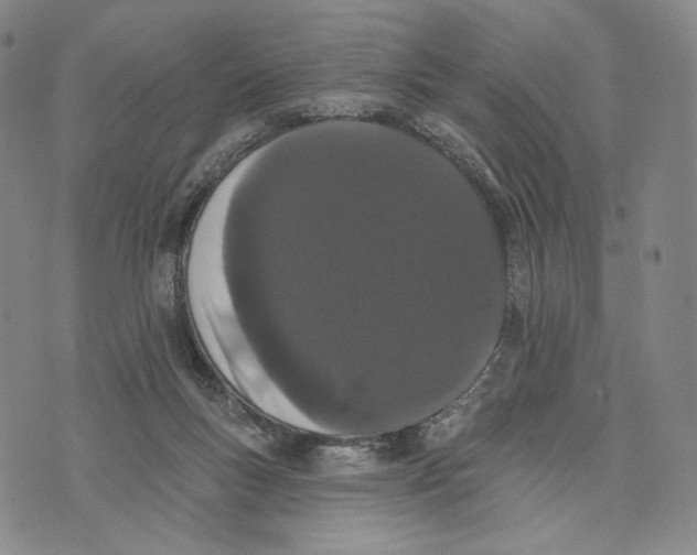 X0000073710167200608311803