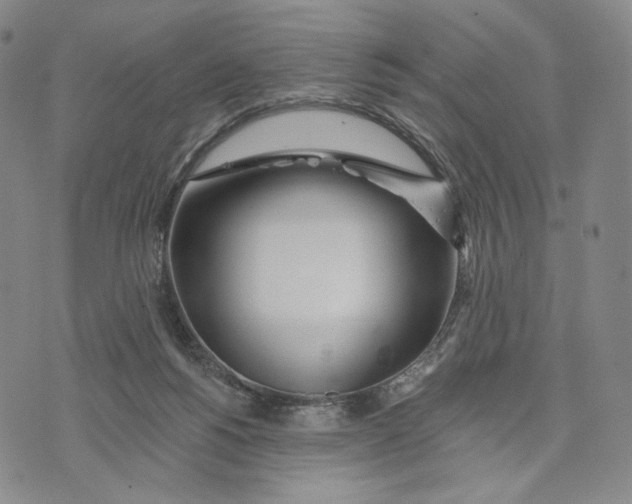 X0000073710168200608311803