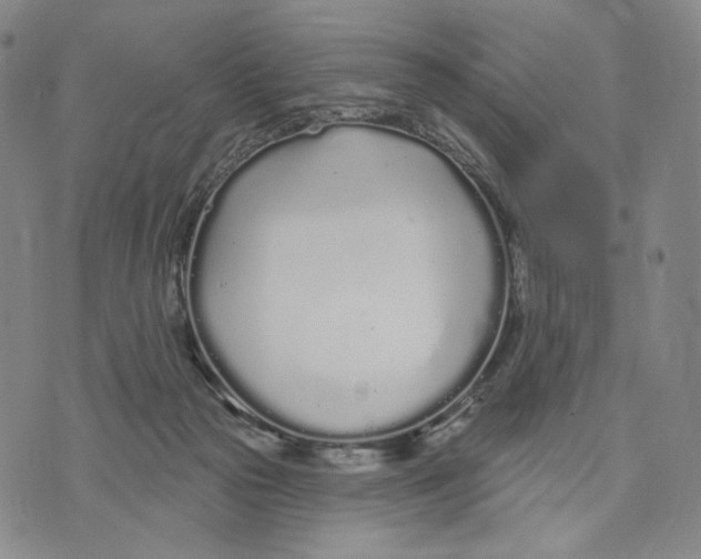 X0000073710169200608311803