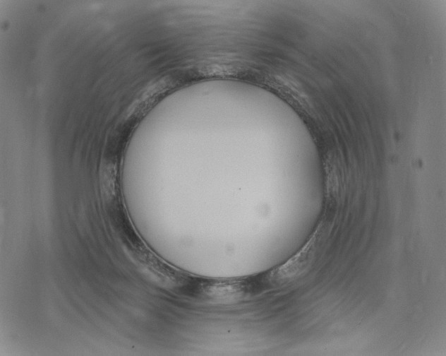 X0000073710171200608311803