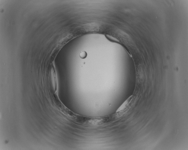 X0000073710172200608311803