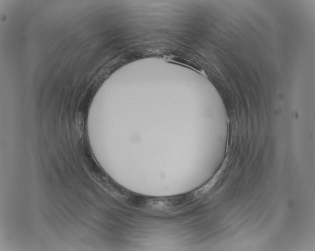 X0000073710174200608311803