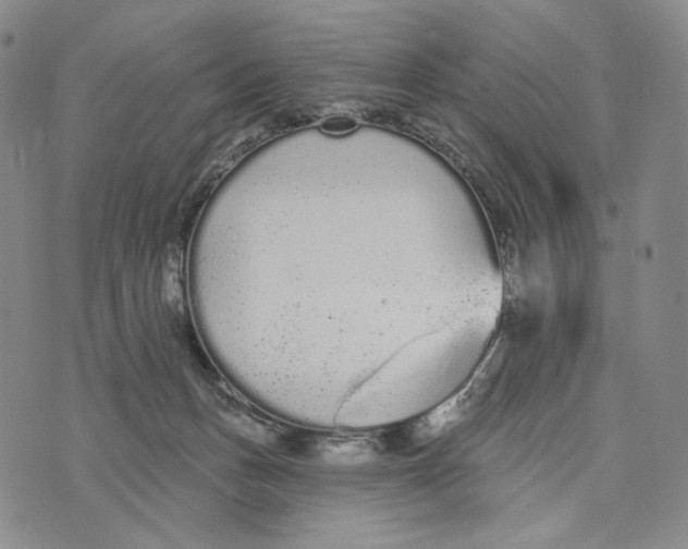 X0000073710175200608311803