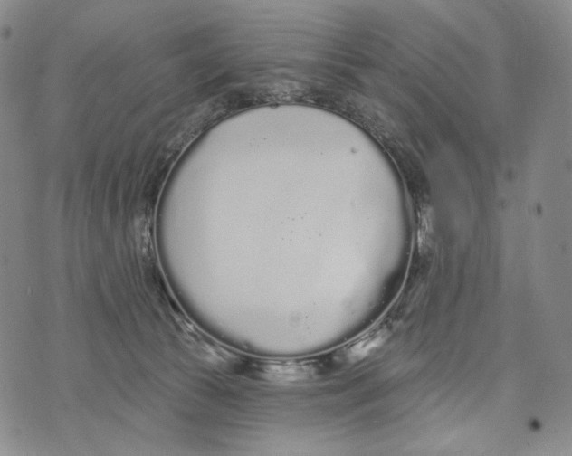 X0000073710177200608311803