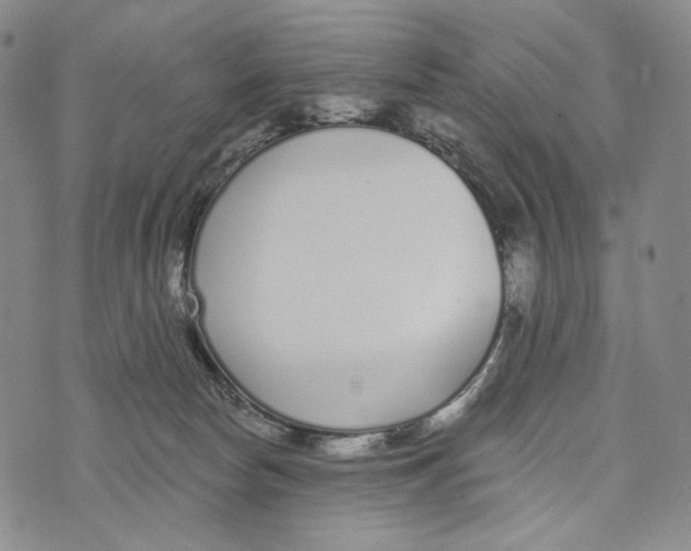 X0000073710178200608311803