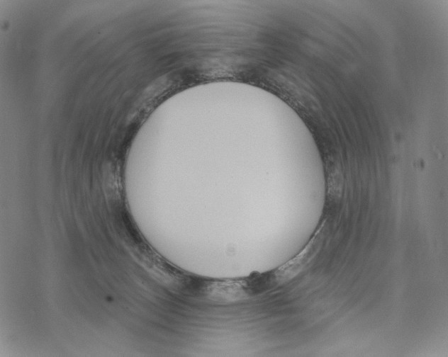 X0000073710179200608311803