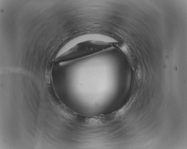 X0000073710180200608311803