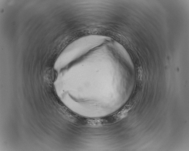 X0000073710181200608311803