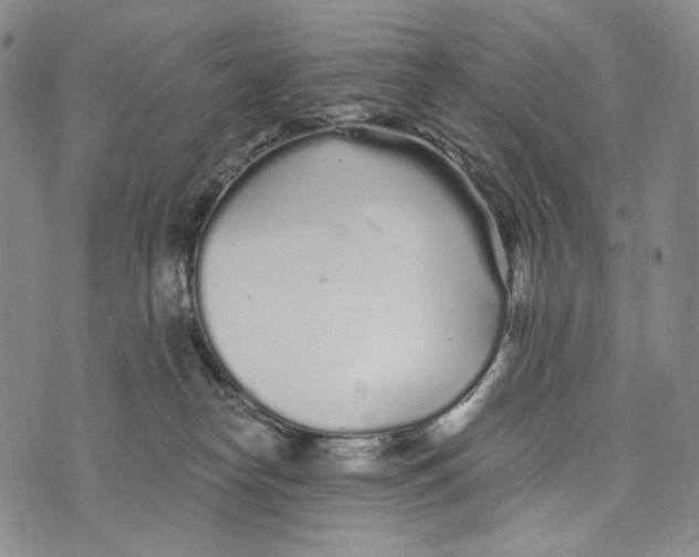 X0000073710182200608311803