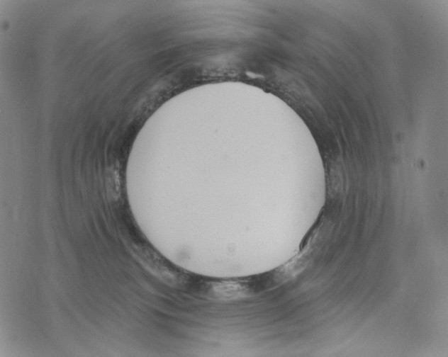 X0000073710183200608311804