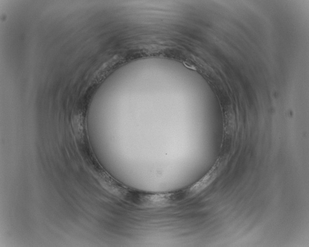 X0000073710184200608311804