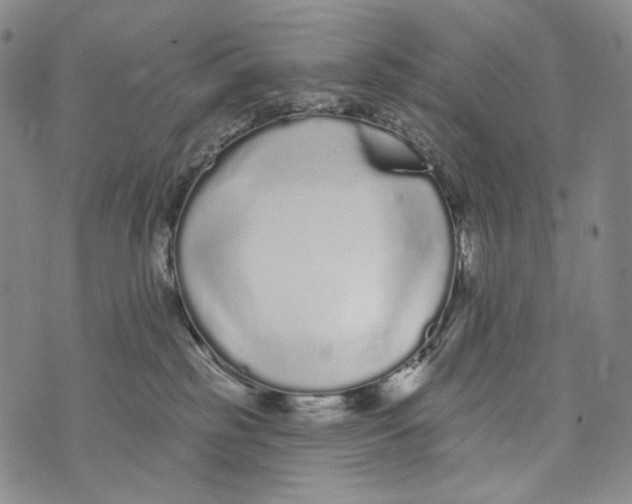 X0000073710185200608311804