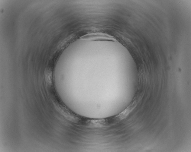 X0000073710188200608311804