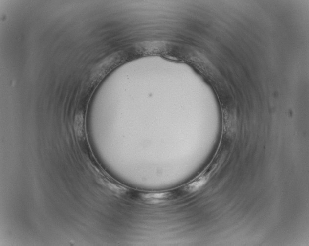 X0000073710189200608311804