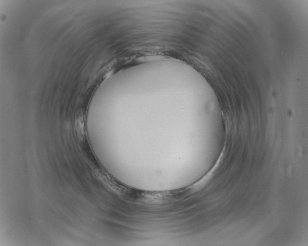 X0000073710190200608311804